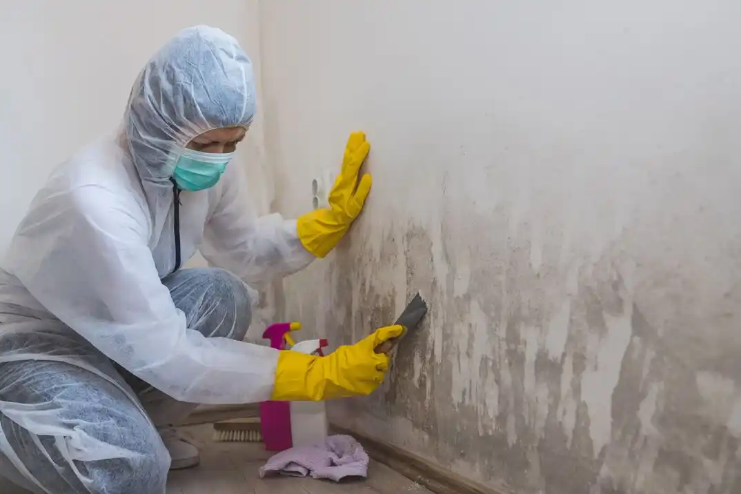 water damage restoration service Provincetowne
